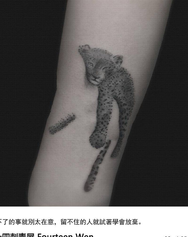 豹子纹身图片_手臂欧美写实纹身图案
