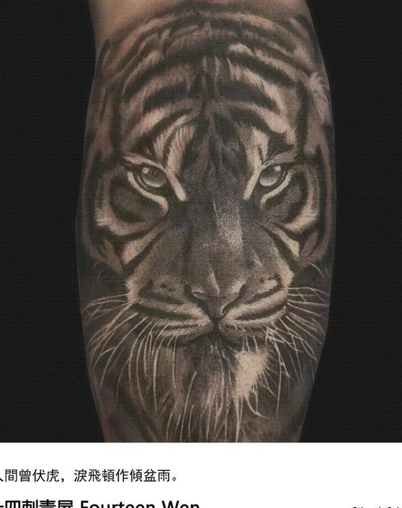 老虎纹身图片_腿部欧美写实纹身图案