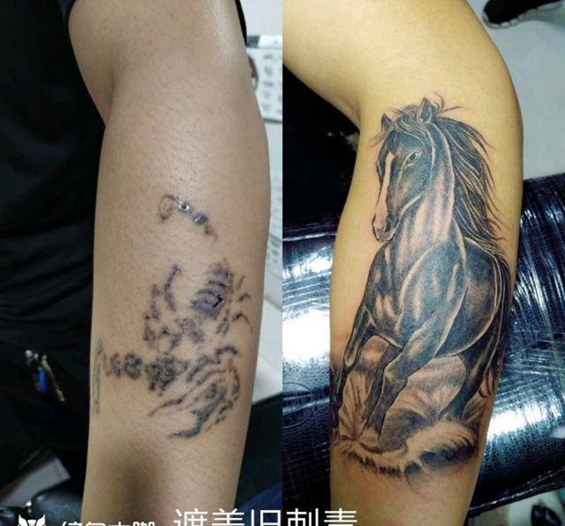 黑马纹身图片_手臂新传统马纹身图案