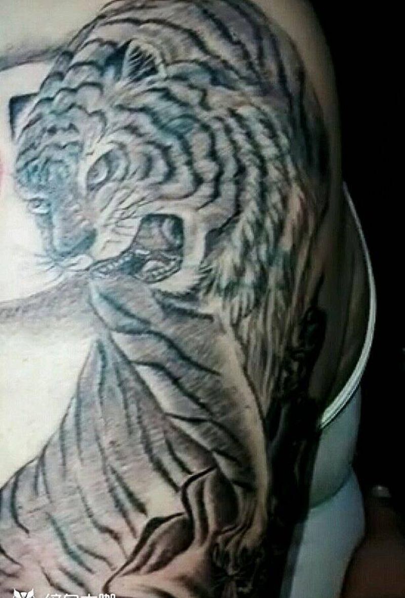 遮盖旧纹身纹身图片_肩部传统动物成品纹身图案