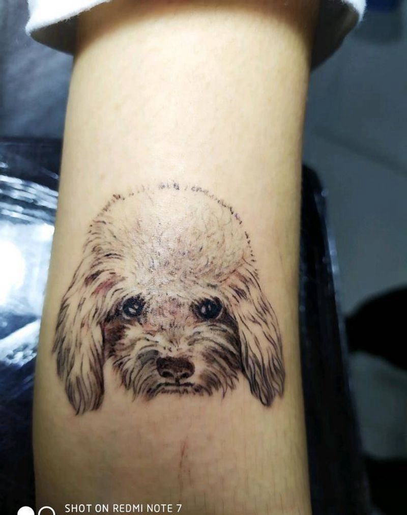 泰迪熊纹身图片_手臂泰迪，纹身图案