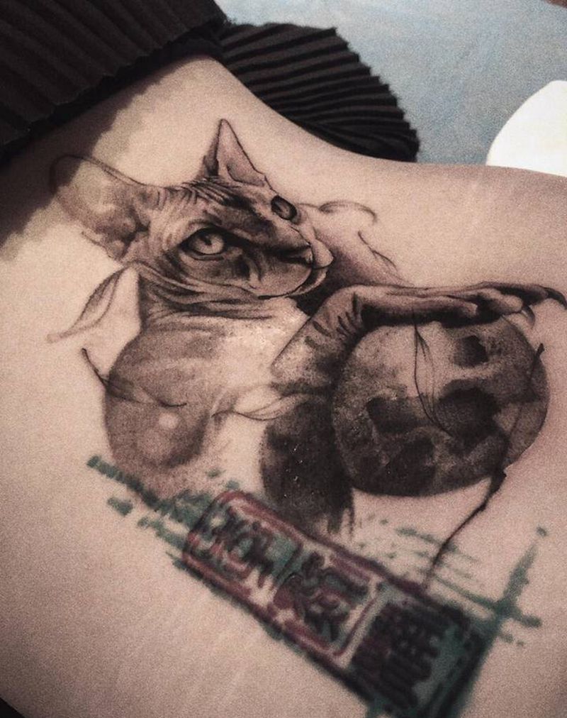 猫纹身图片_欧美写实纹身图案