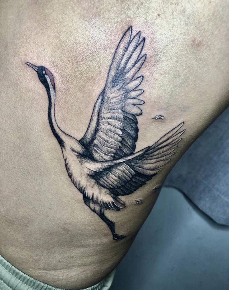 手绘 鹤纹身图片_水彩纹身图案