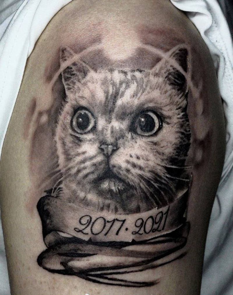 猫纹身图片_欧美写实纹身图案