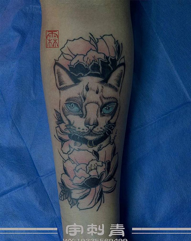 猫纹身图片_手臂纹身图案