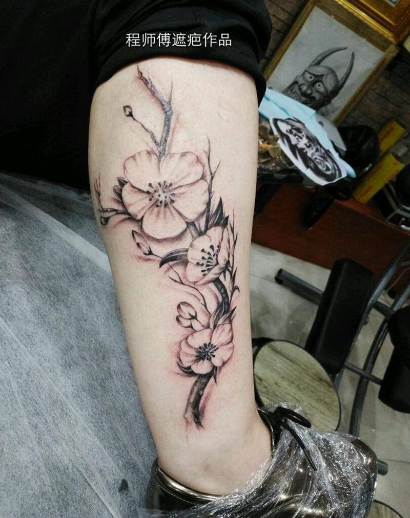 遮疤作品纹身图片