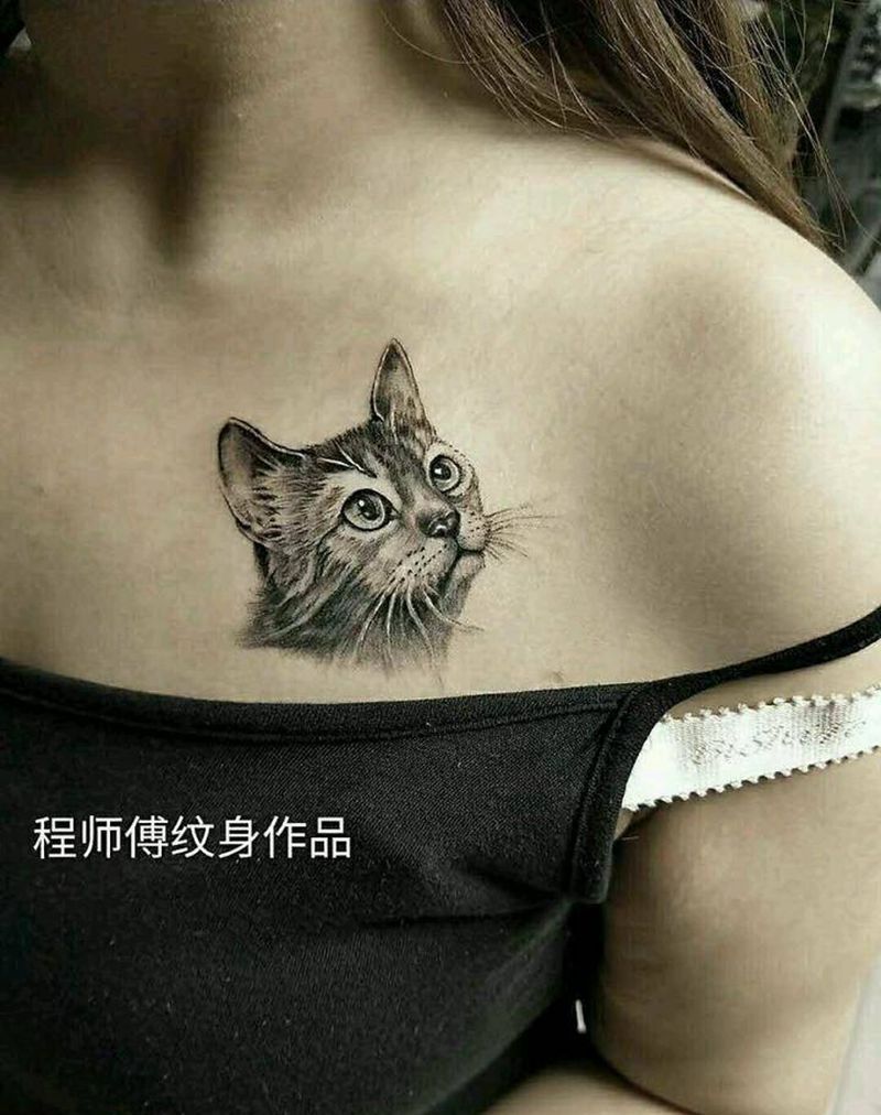猫纹身图片