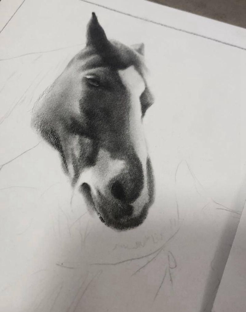 素描马头儿纹身图片_素描纹身图案