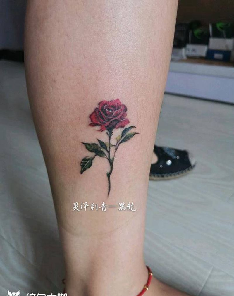 彩色小图纹身图片_腿部欧美写实花玫瑰纹身图案