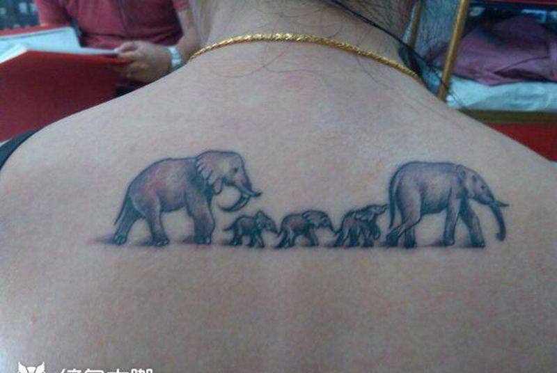 大象和小象纹身图片_背部纹身图案