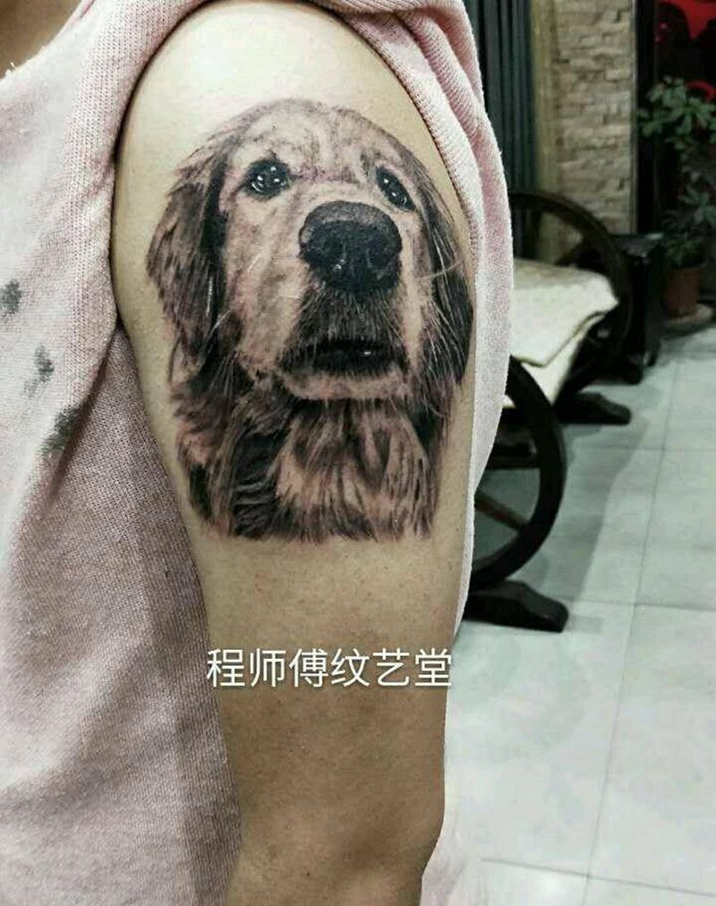 狗肖像纹身图片