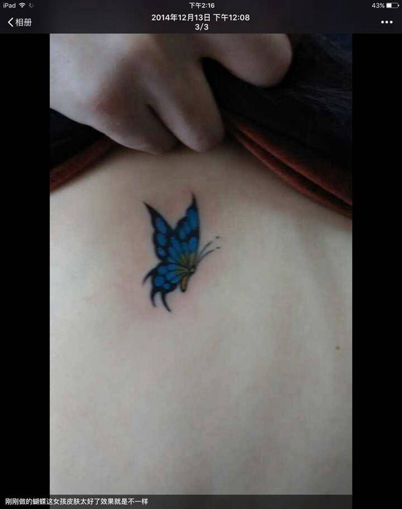 蝴蝶纹身图片_背部纹身图案