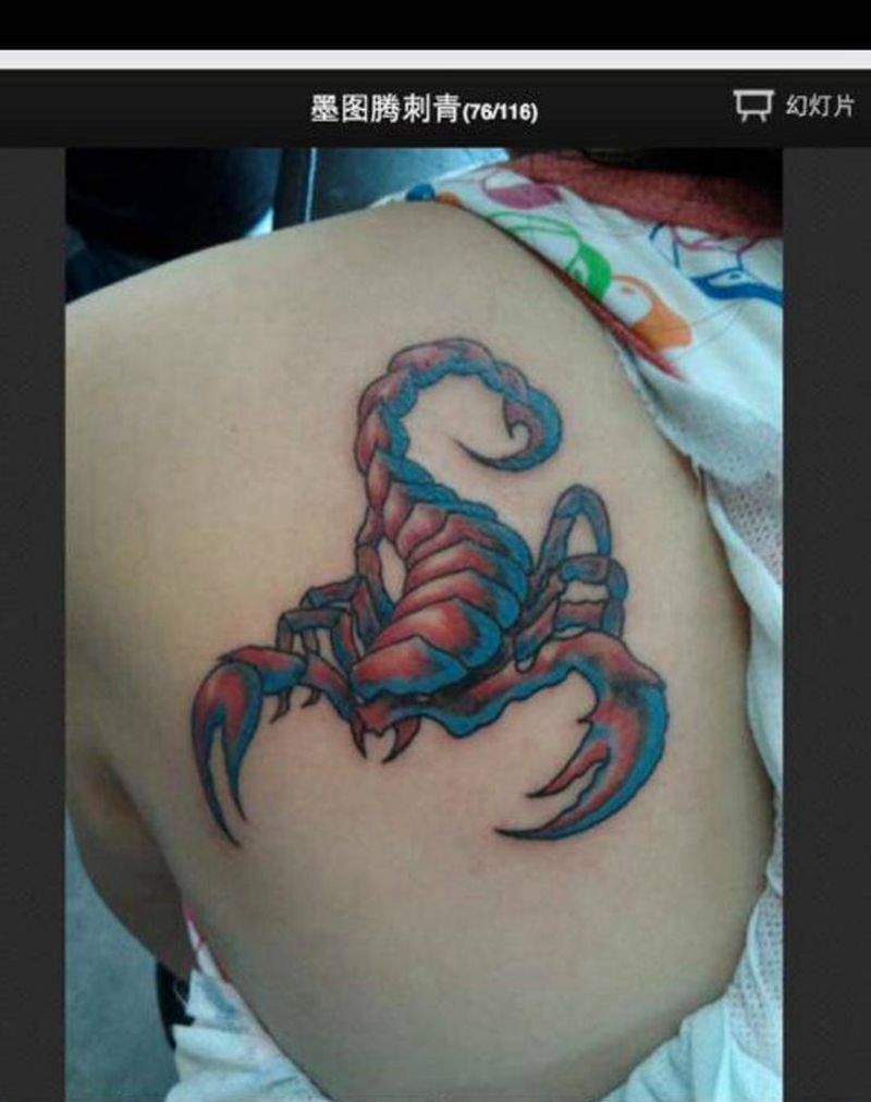 蝎子纹身图片
