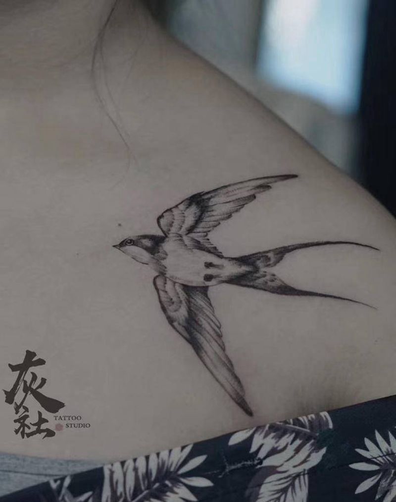 小写实燕子纹身图片_肩部点刺纹身图案