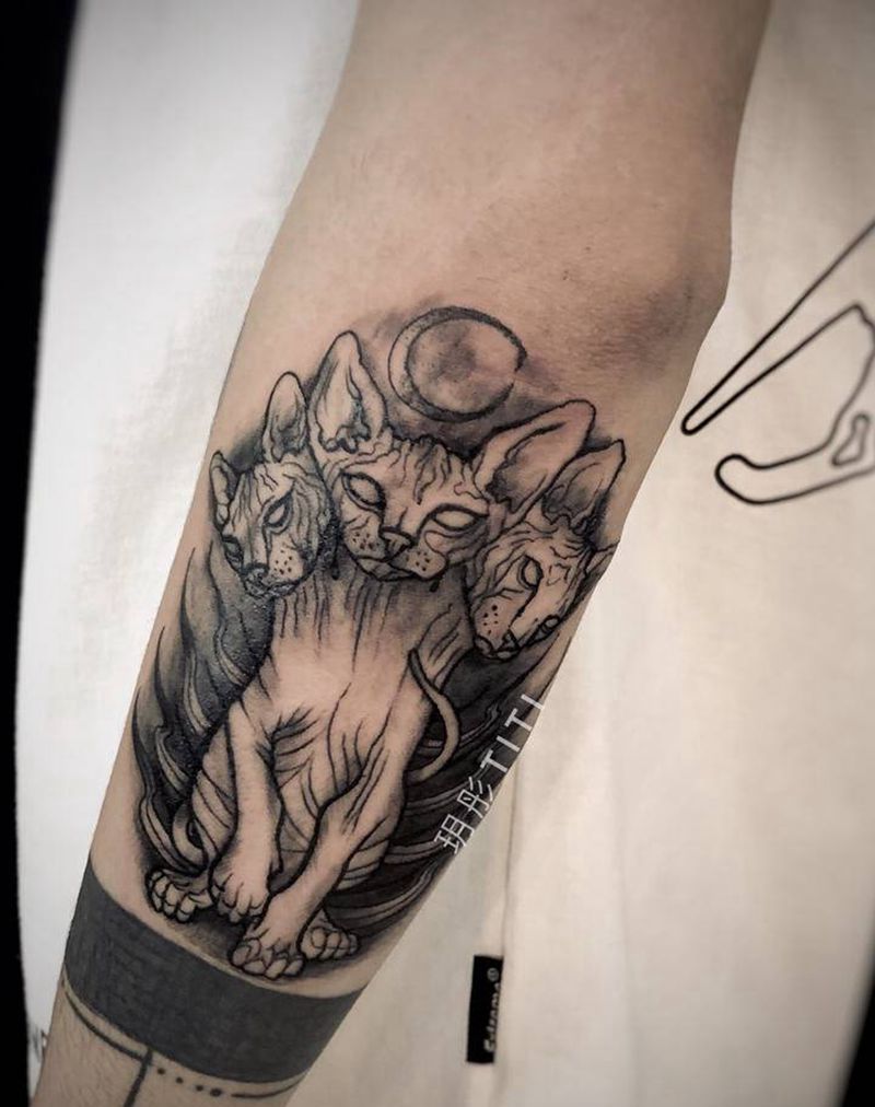 猫纹身图片_手臂纹身图案