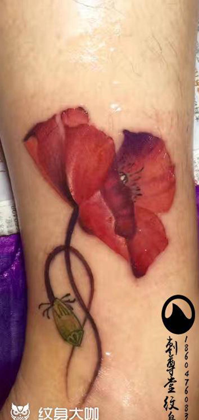 罂粟纹身图片_腿部水彩水墨纹身图案