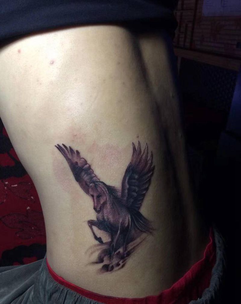 天马纹身图片_腹部腰部欧美纹身图案