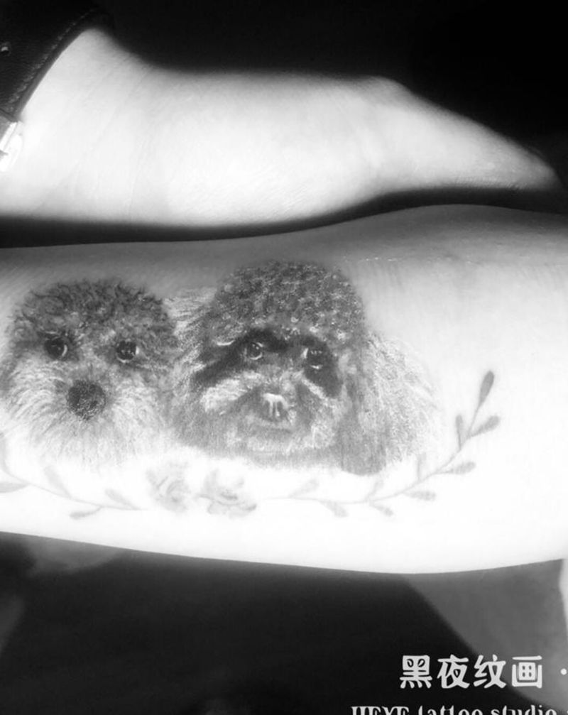 小泰迪纹身图片_手臂欧美写实纹身图案