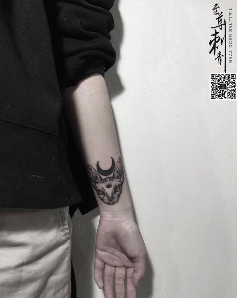司芬克斯无毛猫纹身图片_手臂点刺猫纹身图案