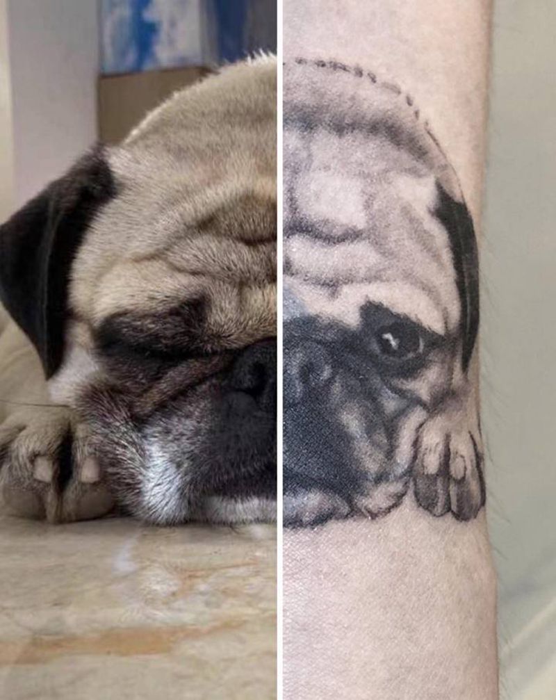 八哥纹身图片_手臂欧美写实纹身图案