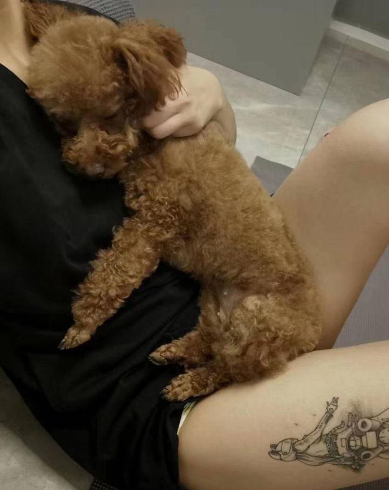 买家秀纹身图片_腿部纹身图案