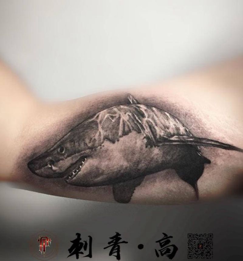 鲨鱼纹身图片_手臂欧美写实鲨鱼纹身图案