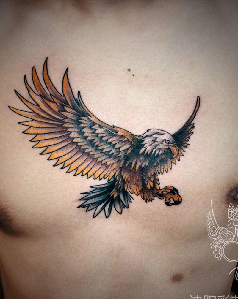 鹰 顾客自带图纹身图片_胸部Old School纹身图案
