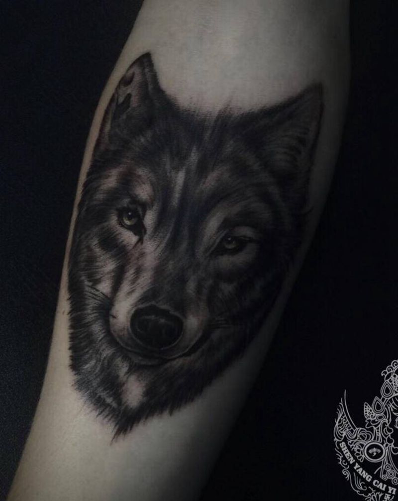 丛林孤傲的狼纹身图片_手臂欧美写实纹身图案