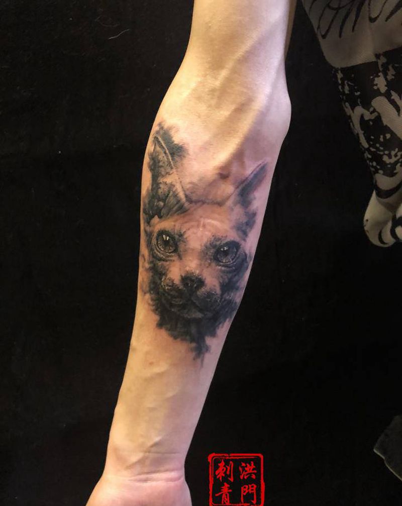 斯芬克斯猫纹身图片_手臂手部新传统欧美写实同城猫斯芬克斯猫纹身图案