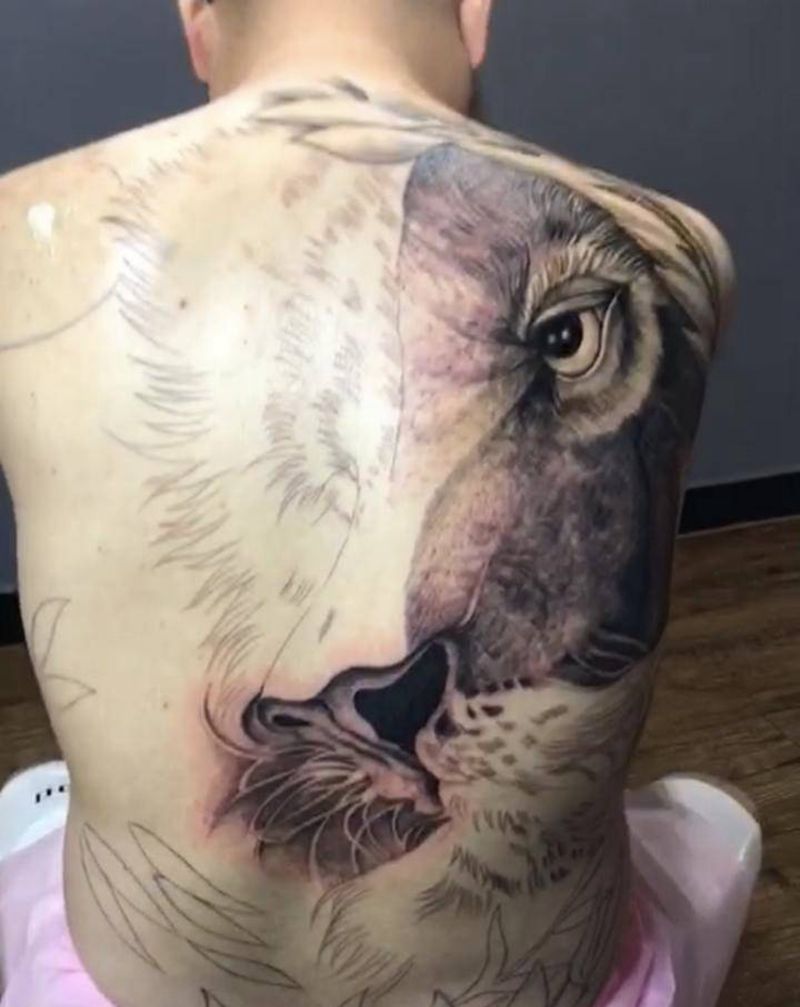 狮子纹身图片_背部纹身图案