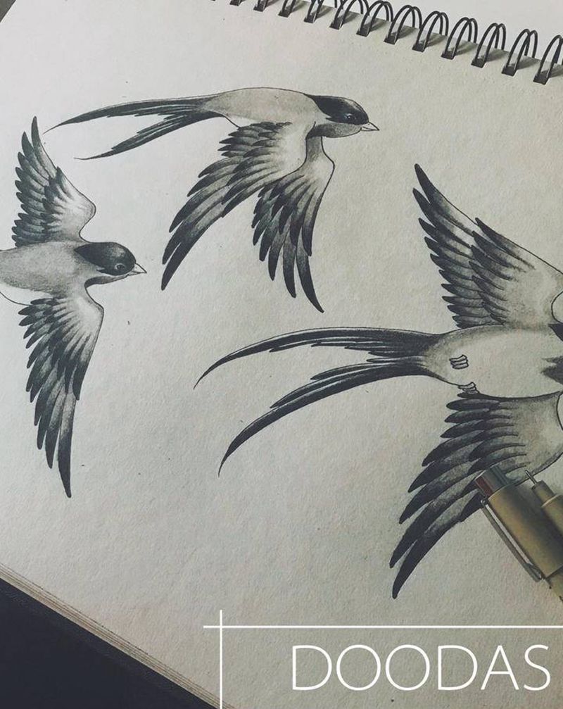 黑灰燕子纹身图片_肩部胸部燕子纹身图案