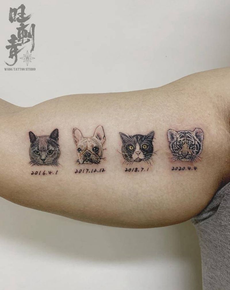 萌宠纹身图片_手臂欧美写实猫狗老虎纹身图案