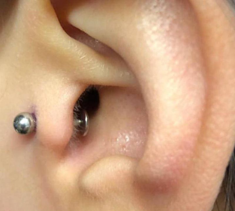 小耳朵钉纹身图片_艺术穿刺纹身图案