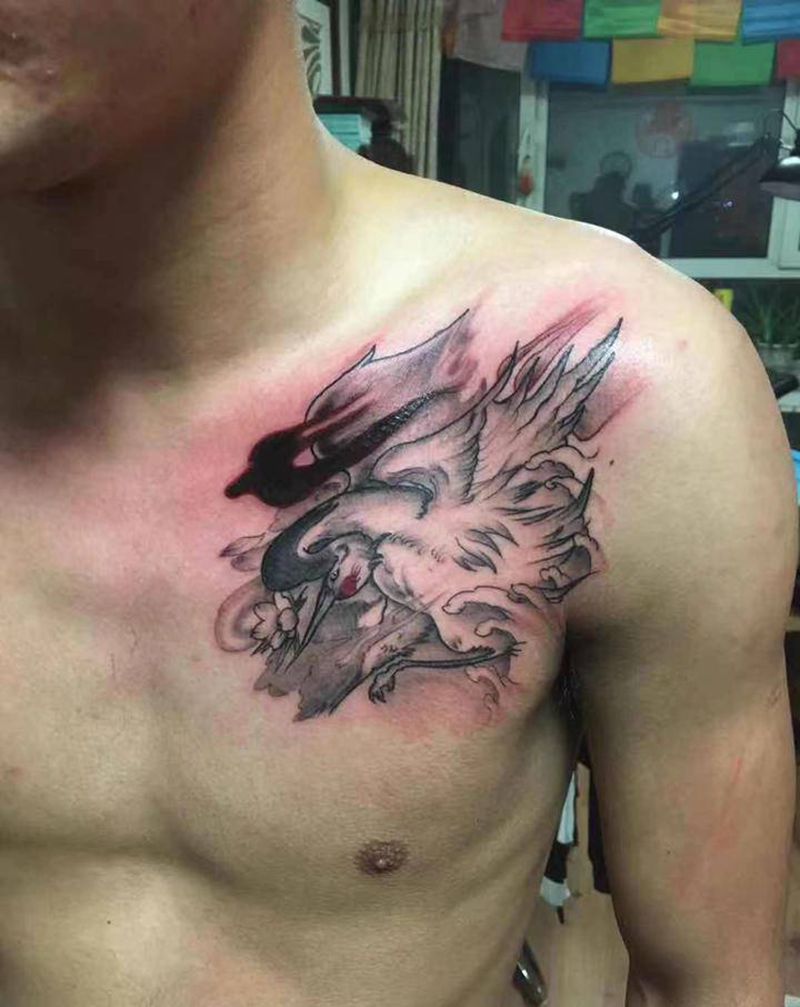 鶴遮盖旧纹身纹身图片_胸部新传统鶴纹身图案