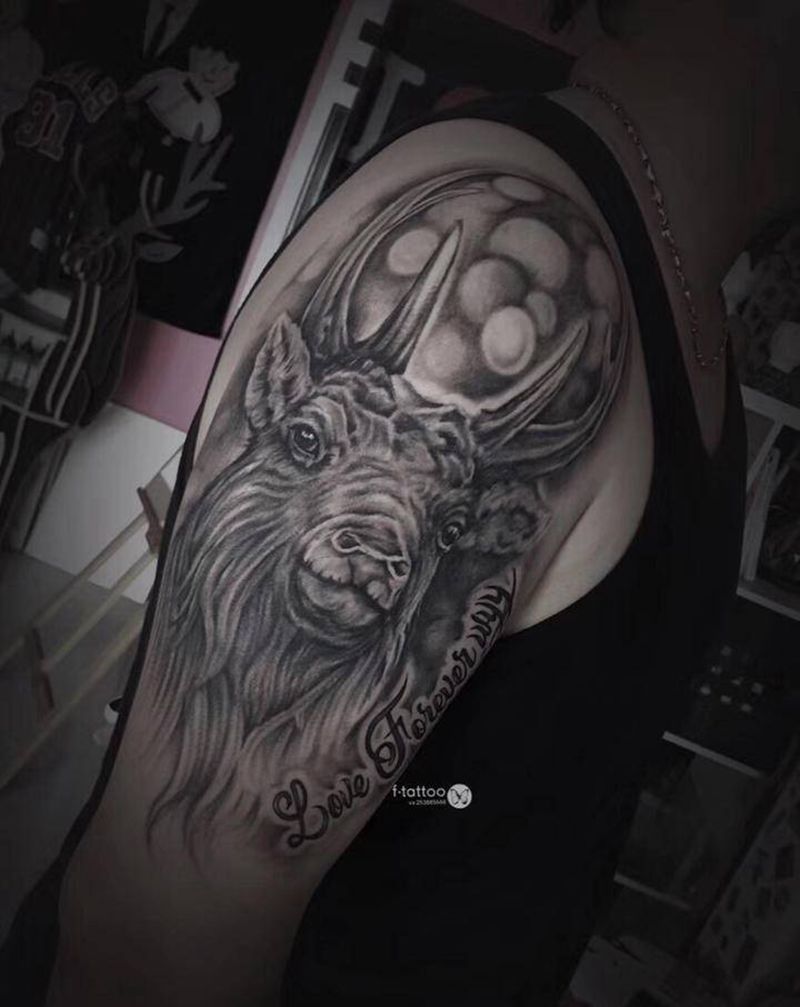 鹿先生.纹身图片_手臂欧美写实鹿纹身图案