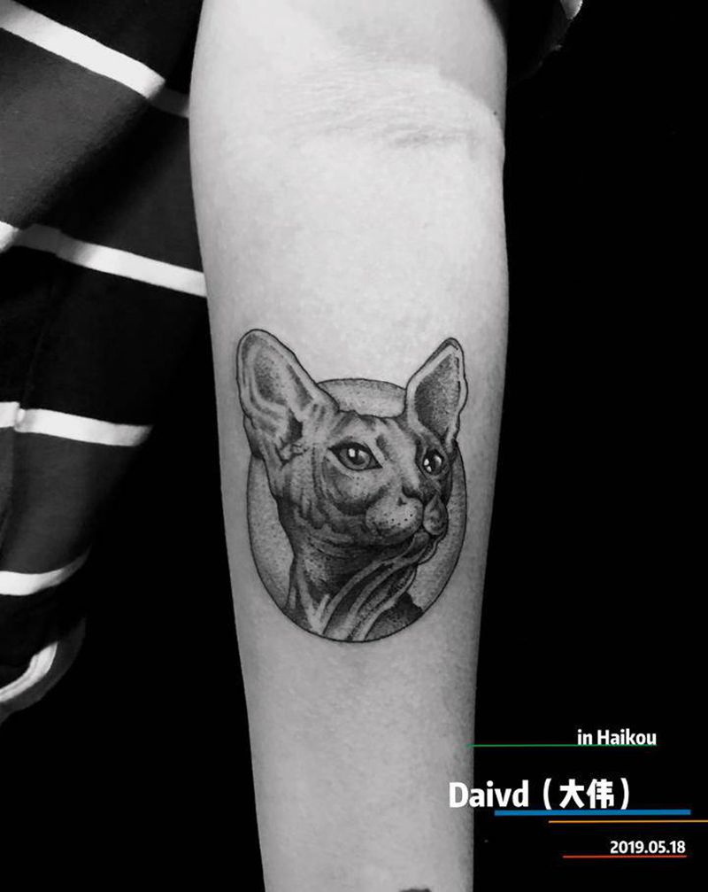 点刺猫纹身图片_手臂几何点刺纹身图案