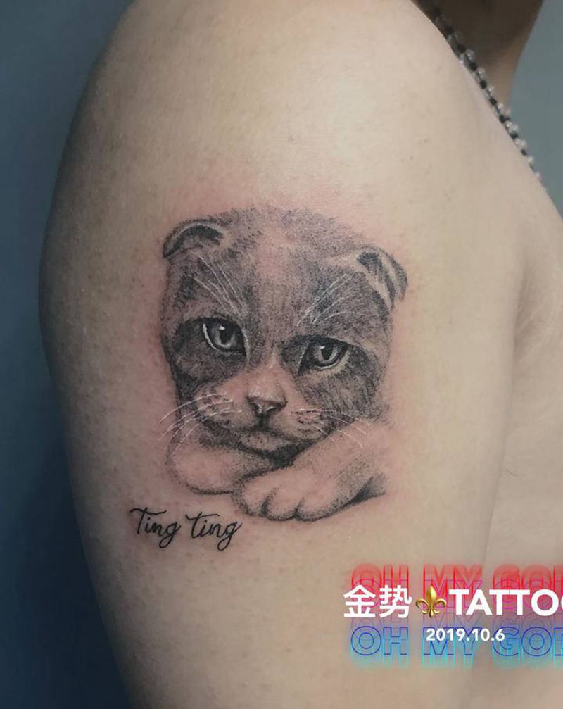 小猫纹身图片_手臂欧美写实纹身图案