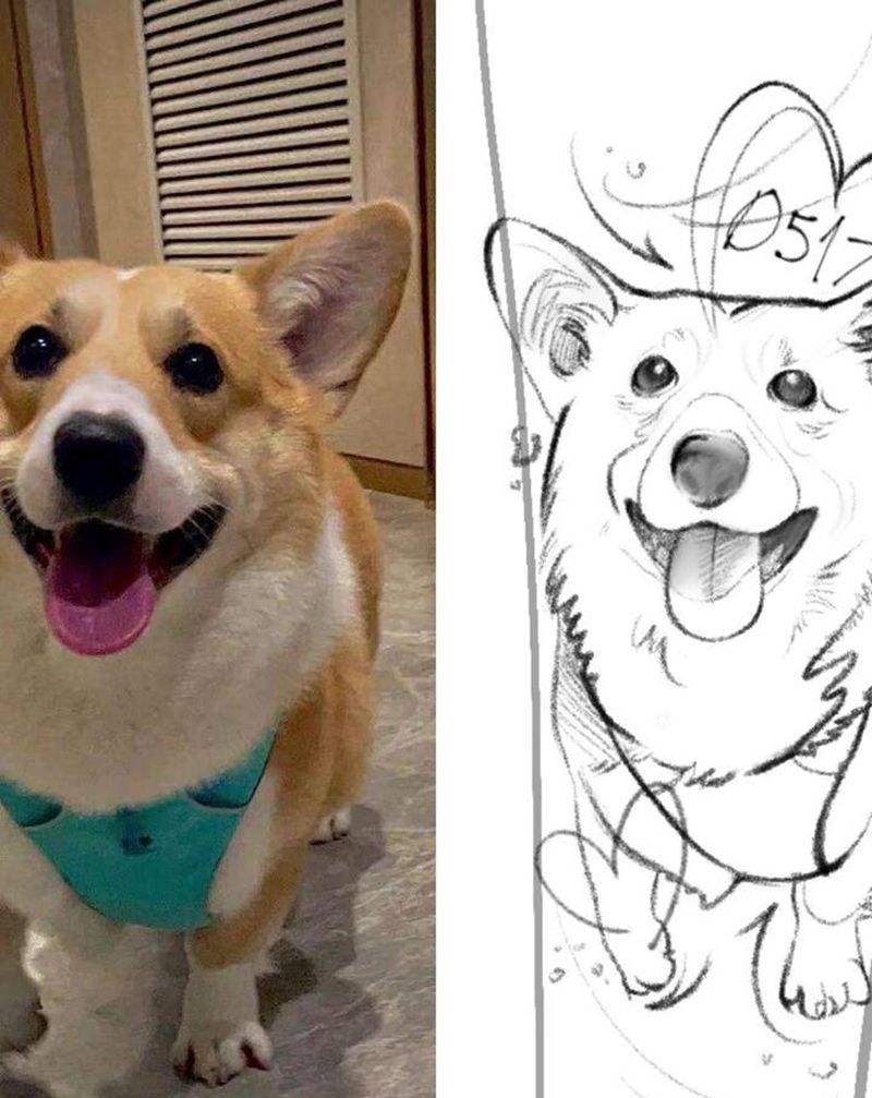 水彩柯基草图纹身图片_腿部水墨水彩狗狗宠物纹身图案