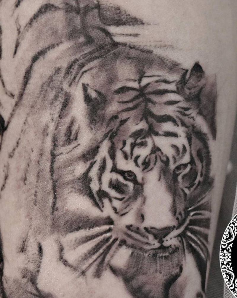小老虎纹身图片_手臂欧美写实小老虎纹身图案