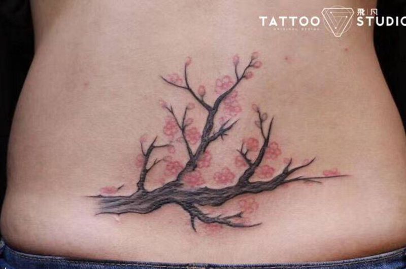梅纹身图片_腰部水彩纹身图案