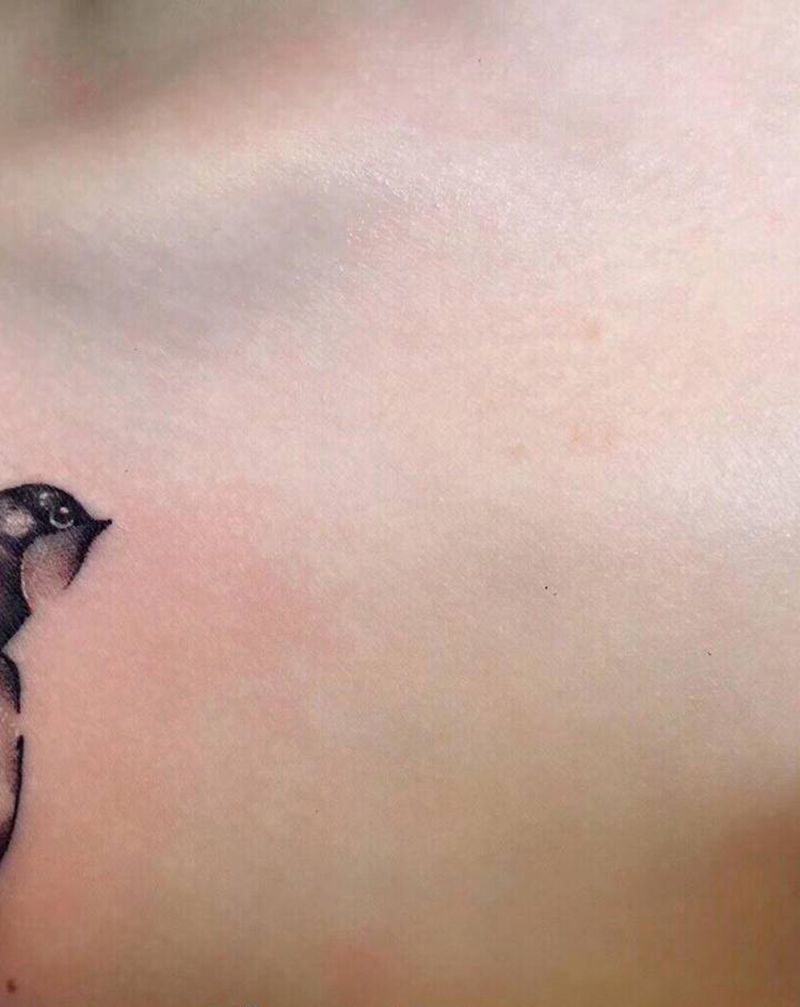 燕子纹身图片_胸部纹身图案