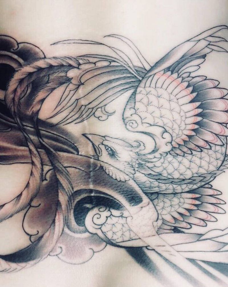 遮盖凤凰彩色未完纹身图片_腰部纹身图案