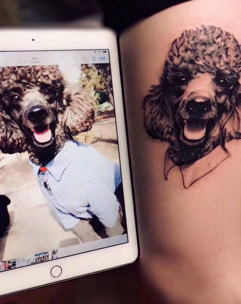 卷毛狗子纹身图片_腿部纹身图案