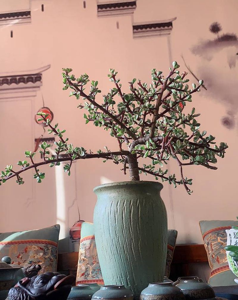 店里一角纹身图片_新传统纹身图案