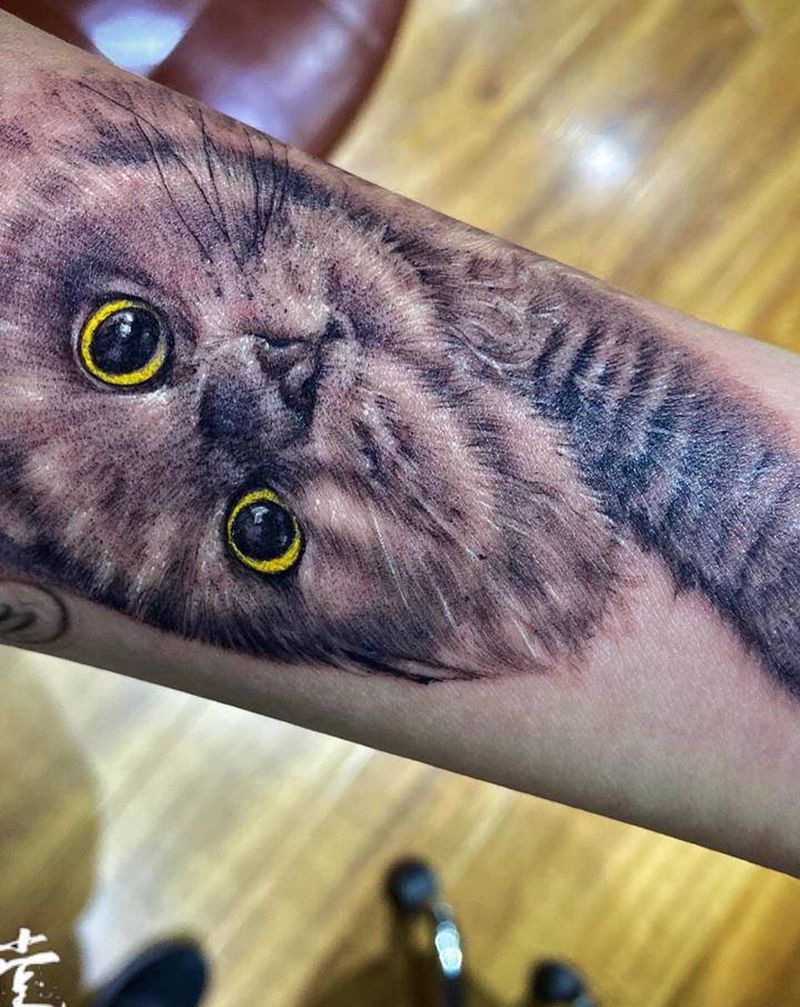 写实小猫纹身图片_手臂欧美写实点刺纹身图案