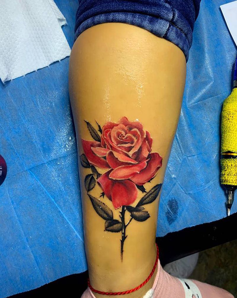 写实玫瑰纹身图片_腹部胸部欧美写实纹身图案