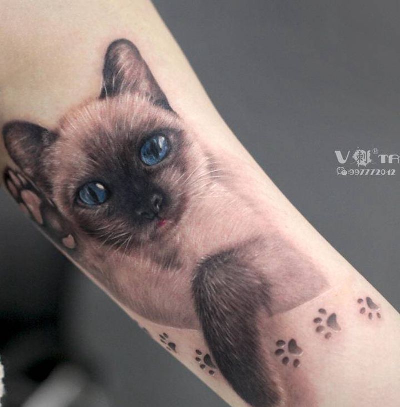 煤老板！纹身图片_手臂欧美写实猫暹罗猫宠物纹身图案