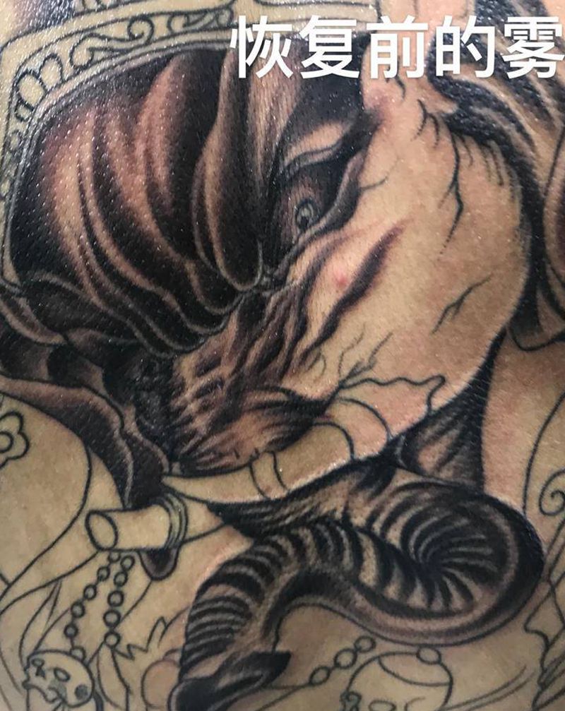 象神（线条不是我做的）纹身图片_新传统满背象神纹身图案