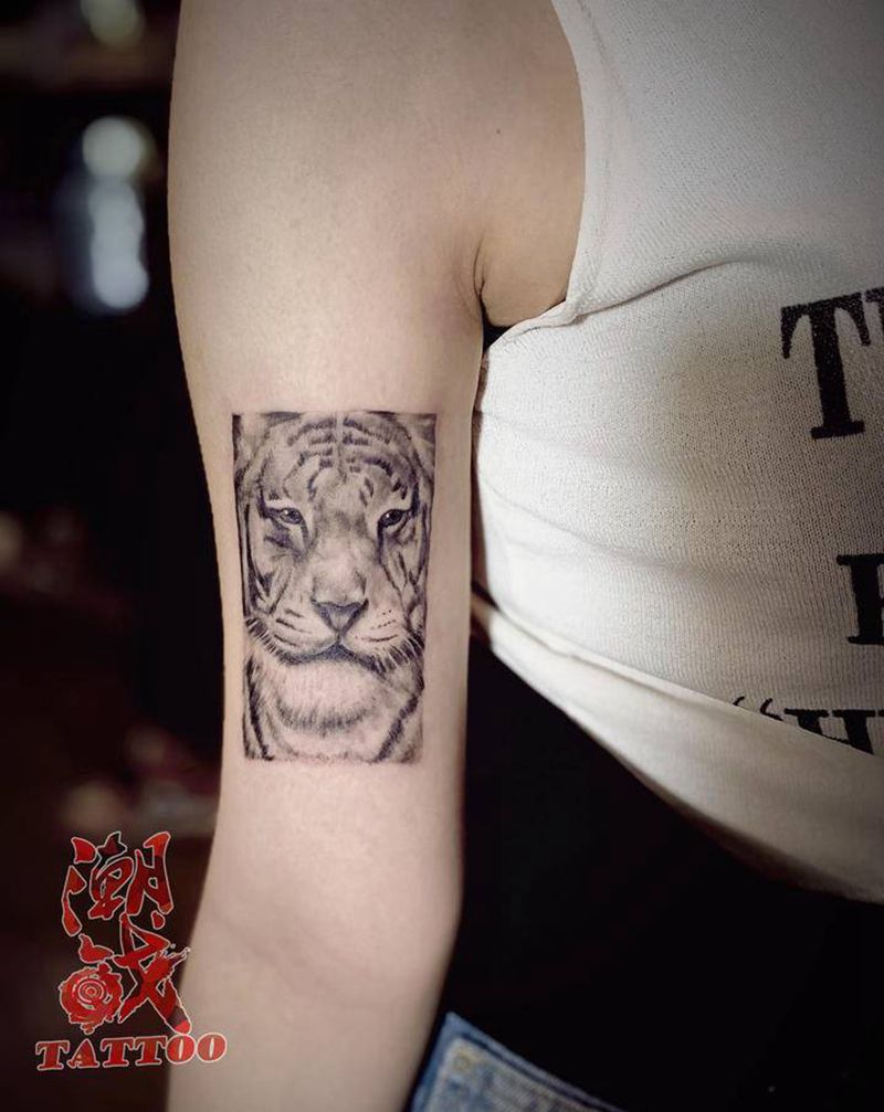 老吴同款老虎纹身图片_手臂欧美写实老虎吴亦凡纹身图案