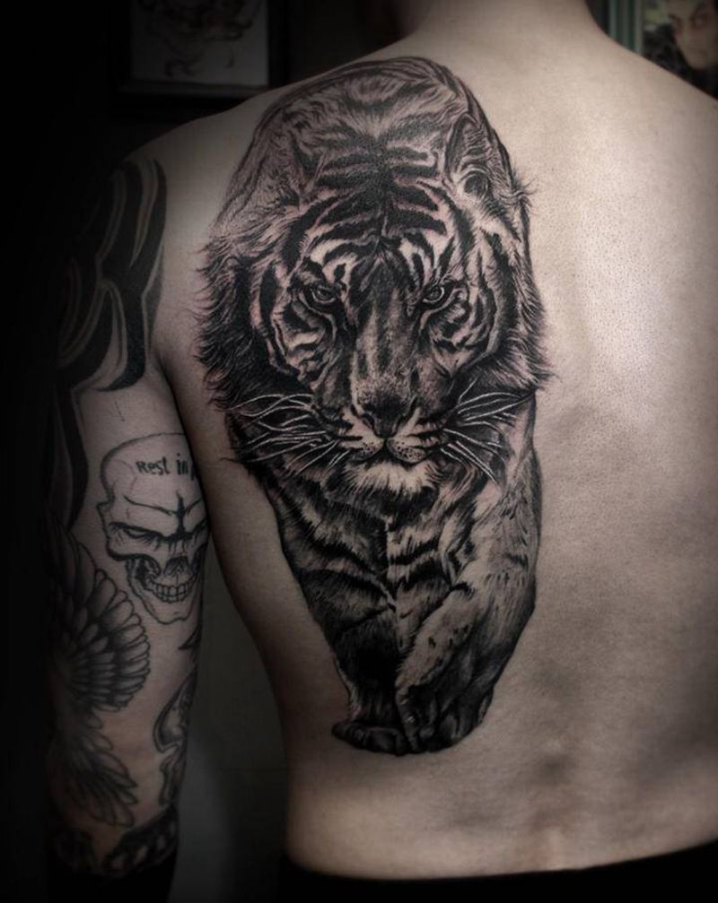 猛虎出没纹身图片_背部肩部欧美写实纹身图案